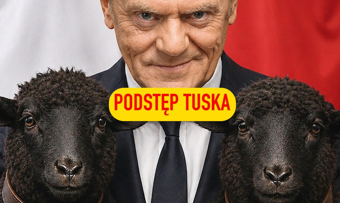 Podstęp Tuska. Czy grozi nam czarny scenariusz koalicji z lat 2005-2007